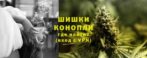 СК Новозыбков
