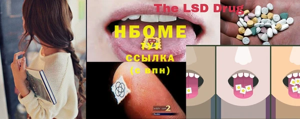 СК Новозыбков