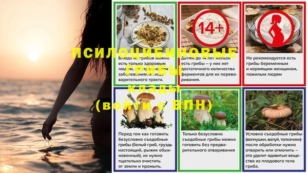индика Нефтегорск