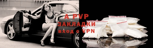 прущая мука Нея