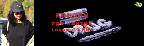 СК Новозыбков