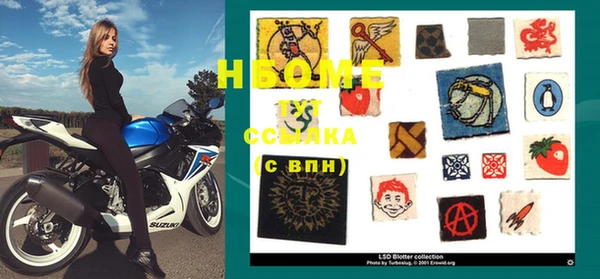 СК Новозыбков