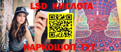 apvp Заволжье