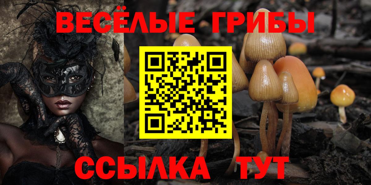 Псилоцибиновые грибы ЛСД Киреевск