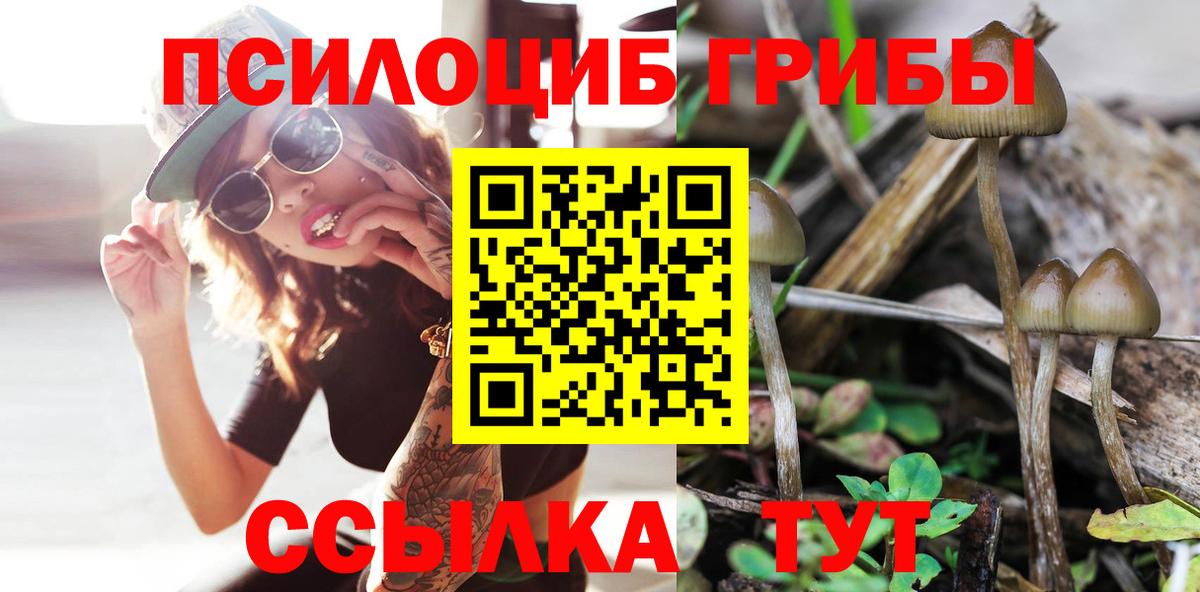 Псилоцибиновые грибы MAGIC MUSHROOMS  хочу наркоту  Киреевск  Вход с VPN 