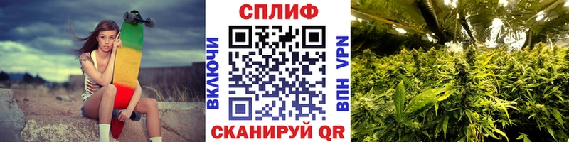 Шишки марихуана индика  hydra как войти  Киреевск  где найти  